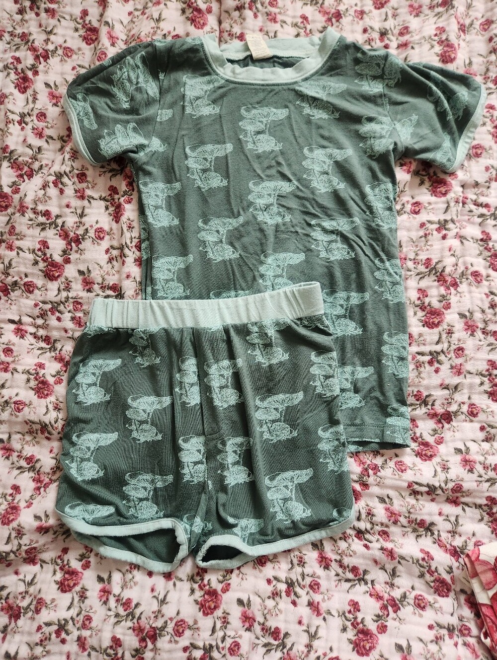 Kate Quinn Short Sleeve Top and Shorts Bamboo Mushroom Set 7Y